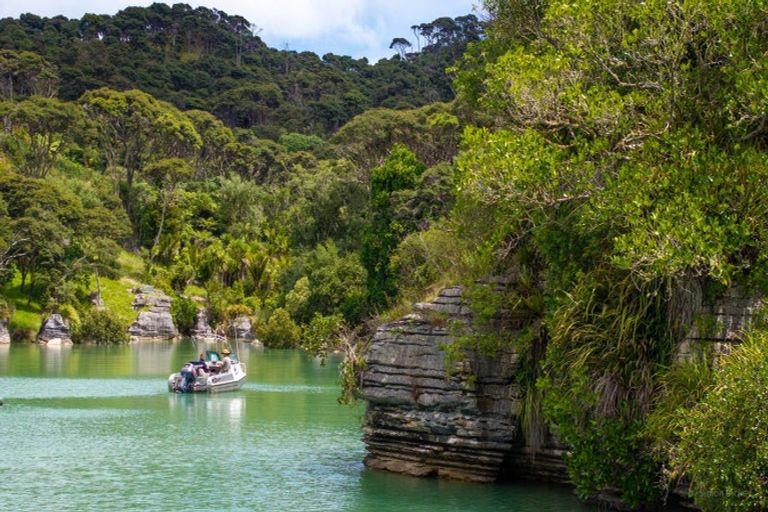 Photo of property in 505 Te Akau Wharf Road, Te Akau, Ngaruawahia, 3793