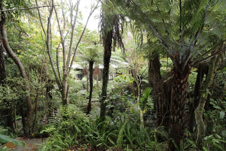 Photo of property in 539 South Titirangi Road, Titirangi, Auckland, 0604