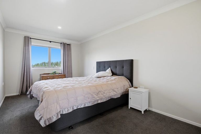 Photo of property in 1961 Te Matai Road, Ngawaro, Te Puke, 3188