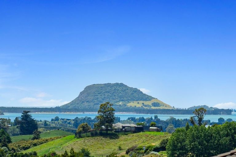 Photo of property in 235 Waipapa Block Road, Whakamarama, Tauranga, 3180