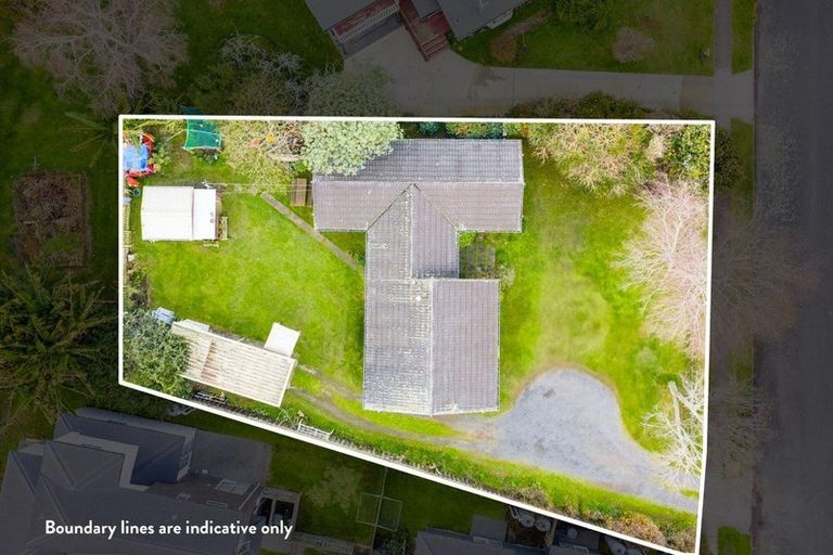 Photo of property in 11 Hibiscus Avenue, Hamilton Lake, Hamilton, 3204