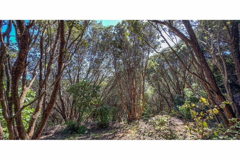 Photo of property in 78b Bennett Road, Te Mata, Thames, 3575