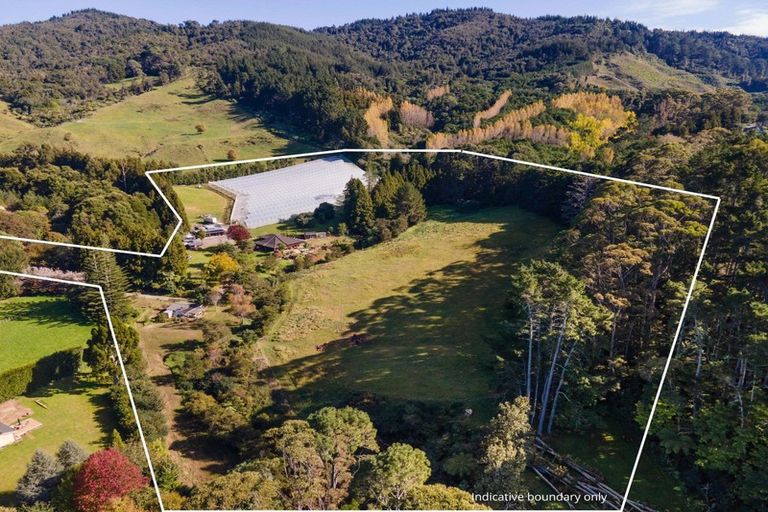 Photo of property in 234 Willoughby Road, Tahawai, Katikati, 3170
