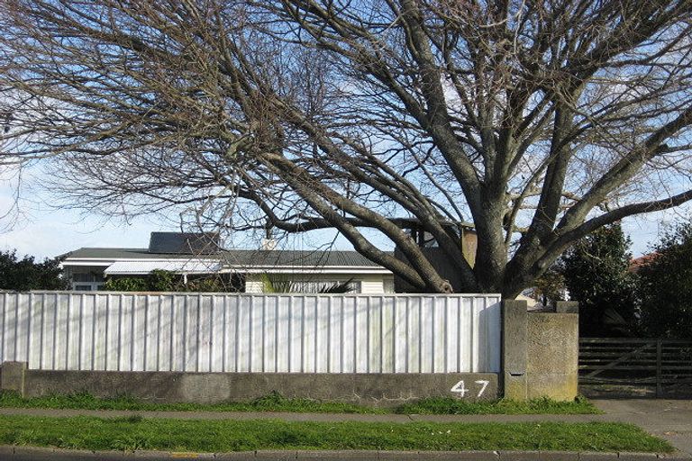 Photo of property in 47 Bridge Street, Whakatane, 3120