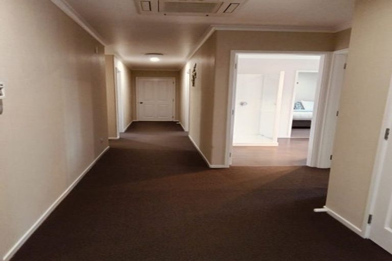 Photo of property in 1103 Racecourse Road, Te Awamutu, 3800