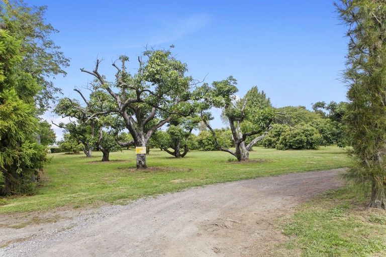 Photo of property in 380b Matahui Road, Aongatete, Katikati, 3181