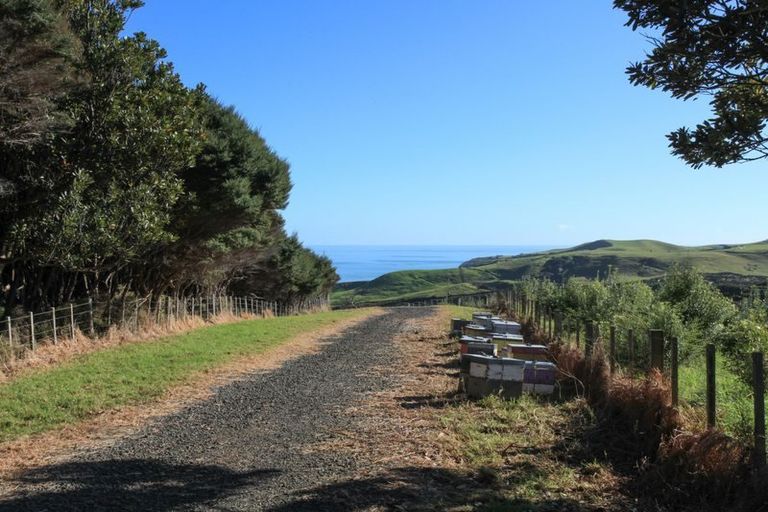 Photo of property in 1644a Whaanga Road, Raglan, 3296