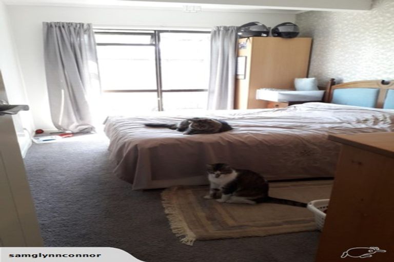 Photo of property in 64a Shelley Street, Leamington, Cambridge, 3432