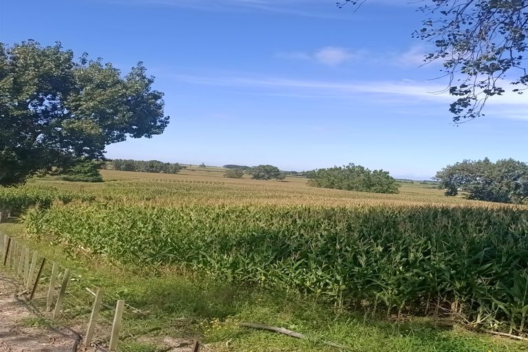 Photo of property in 863 Tauhei Road, Tauhei, Morrinsville, 3375