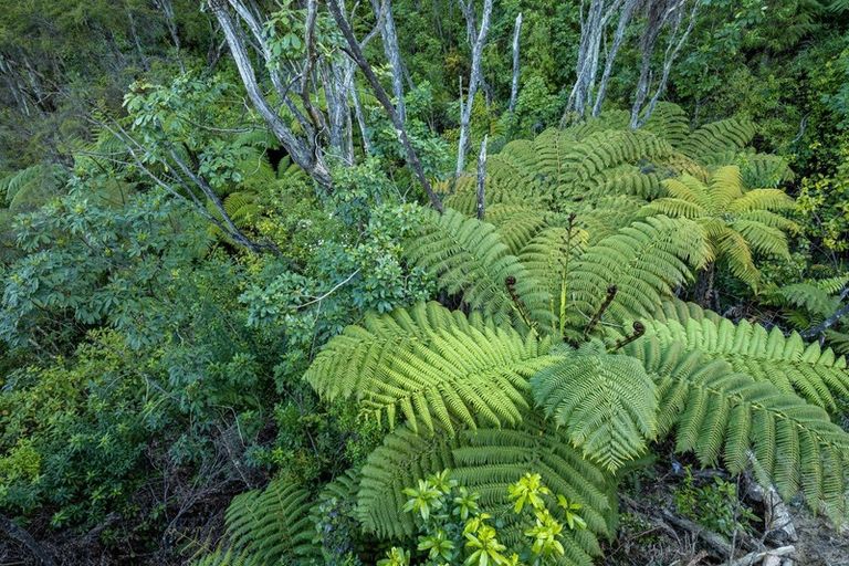 Photo of property in 11 Moonraker Way, Kaiteriteri, Motueka, 7197