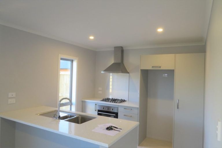 Photo of property in 17 Taotahi Avenue, Dinsdale, Hamilton, 3204