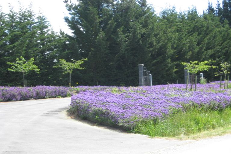 Photo of property in Li200b, 50 Terrace Road, Leithfield, Amberley, 7481