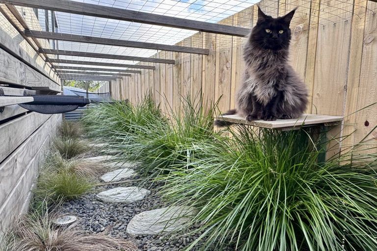 Photo of property in 12a Waterview Place, Haruru, 0204