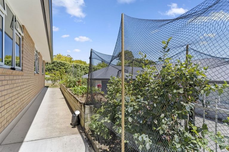 Photo of property in 23 Dayna Avenue, Ohauiti, Tauranga, 3112