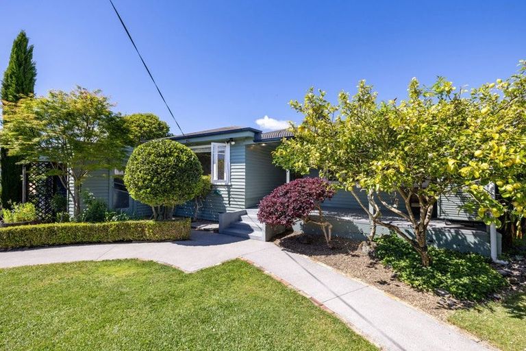 Photo of property in 11 Keats Terrace, Leamington, Cambridge, 3432