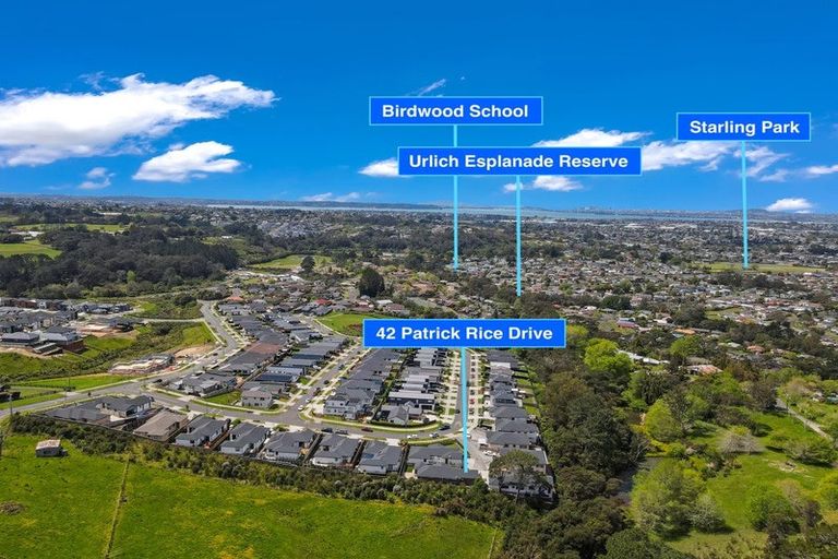 Photo of property in 42 Patrick Rice Drive, Swanson, Auckland, 0614