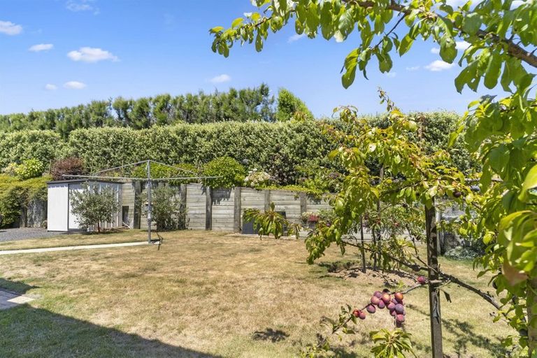 Photo of property in 23 Dayna Avenue, Ohauiti, Tauranga, 3112