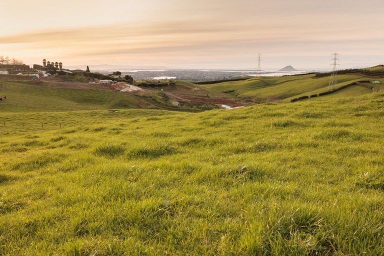 Photo of property in 39c Rowe Road, Ohauiti, Tauranga, 3173