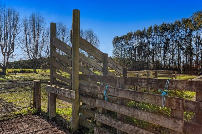 Photo of property in 24 Willow Lane, Edgecumbe, Whakatane, 3192