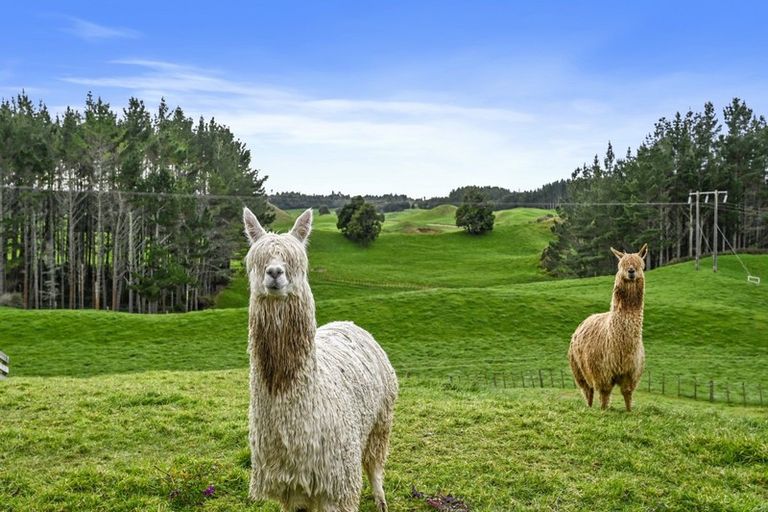 Photo of property in 476 Oturoa Road, Hamurana, Rotorua, 3072