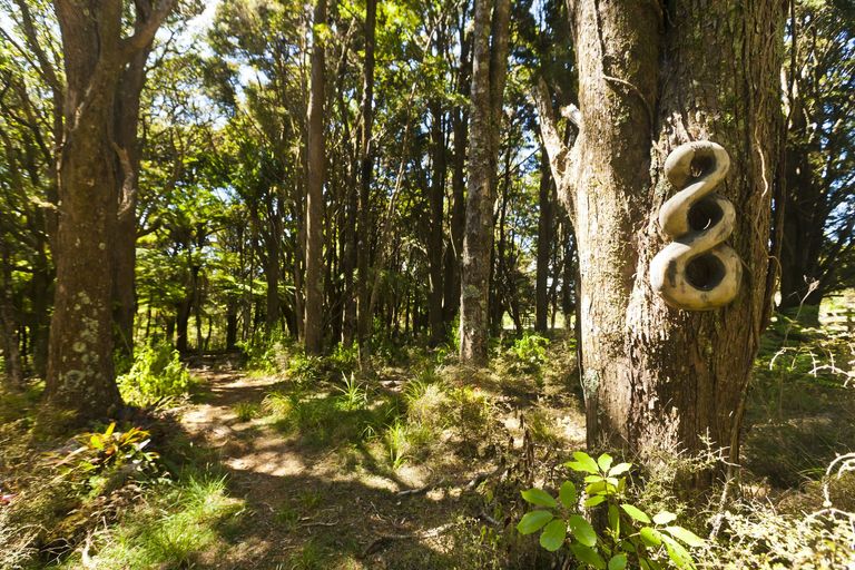 Photo of property in 768 Owhiwa Road, Parua Bay, Onerahi, 0192