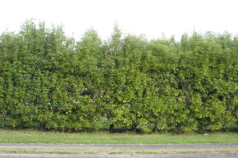 Photo of property in 111b Mckellar Place, Whangamata, 3620