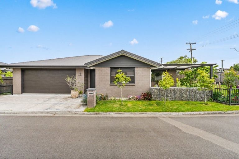 Photo of property in 95 Awahuri Road, Feilding, 4702
