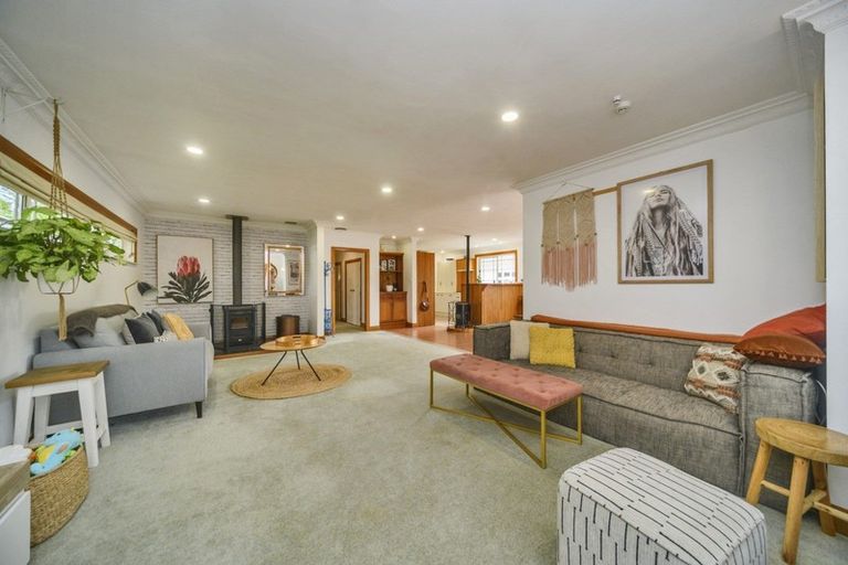 Photo of property in 57 Guy Avenue, Takaro, Palmerston North, 4410