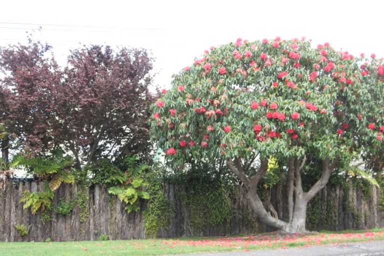 Photo of property in 74b Grand Vue Road, Kawaha Point, Rotorua, 3010