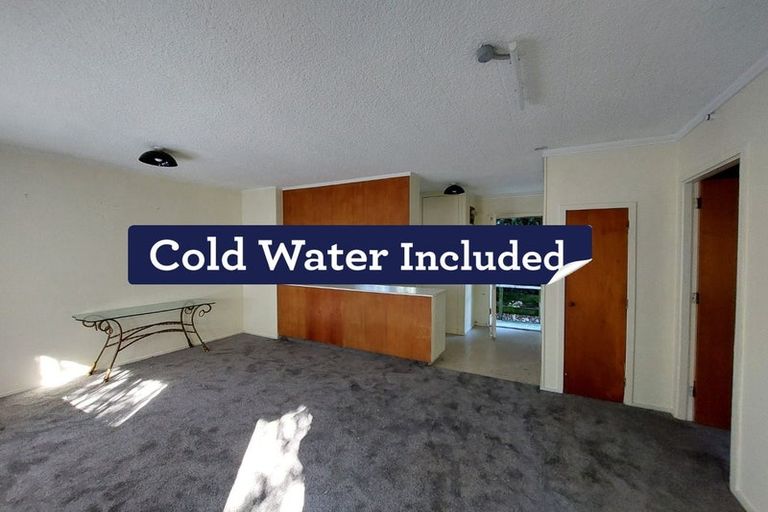 Photo of property in 49a Hill Road, Hillpark, Auckland, 2102