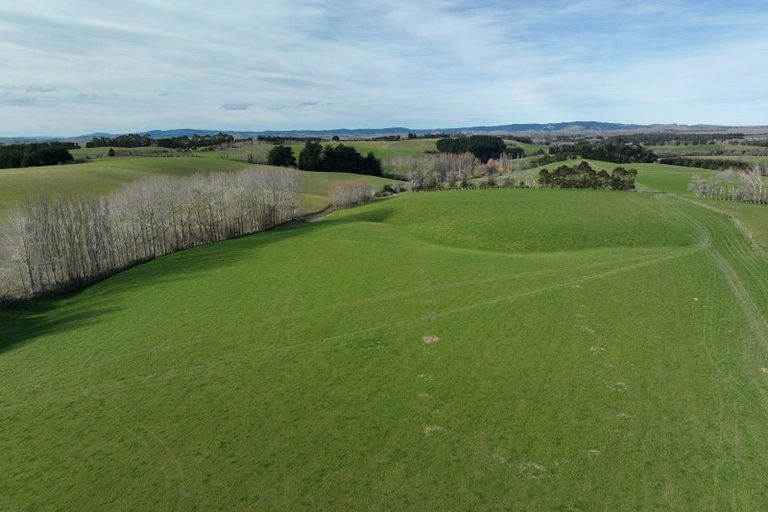Photo of property in 41 Gray Road, Waitepeka, Balclutha, 9271