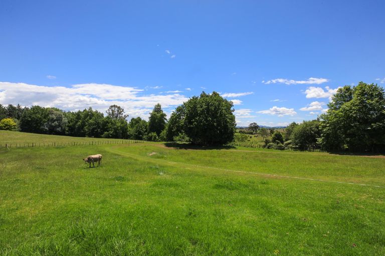 Photo of property in 169 Koromatua Road, Temple View, Hamilton, 3290