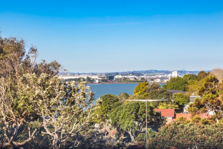 Photo of property in 30 Hoskins Avenue, Hillsborough, Auckland, 1042