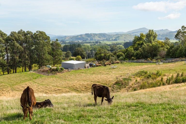 Photo of property in 67a Lees Pakaraka Road, Te Ore Ore, Masterton, 5886