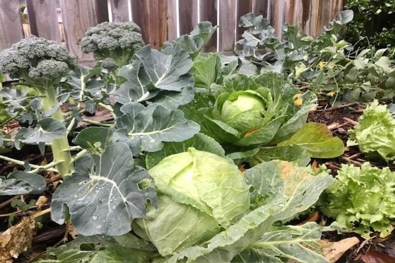 Photo of property in 4 Tarawa Street, Paekakariki, 5034