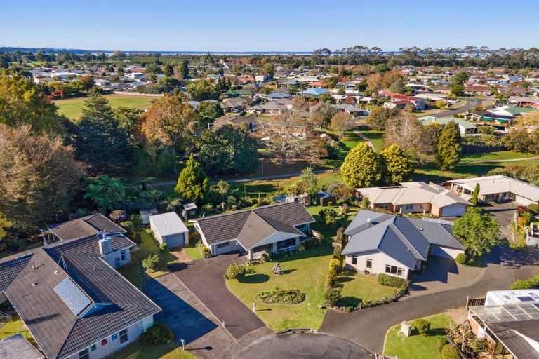 Photo of property in 29 Tui Place, Katikati, 3129