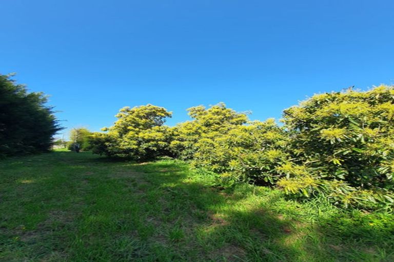 Photo of property in 229 Athenree Road, Athenree, Waihi Beach, 3177