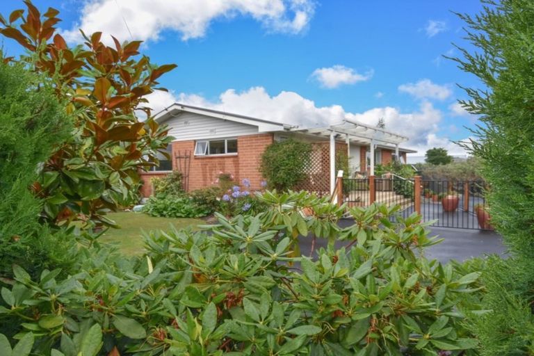 Photo of property in 30 Carlyle Road, Mosgiel, 9024