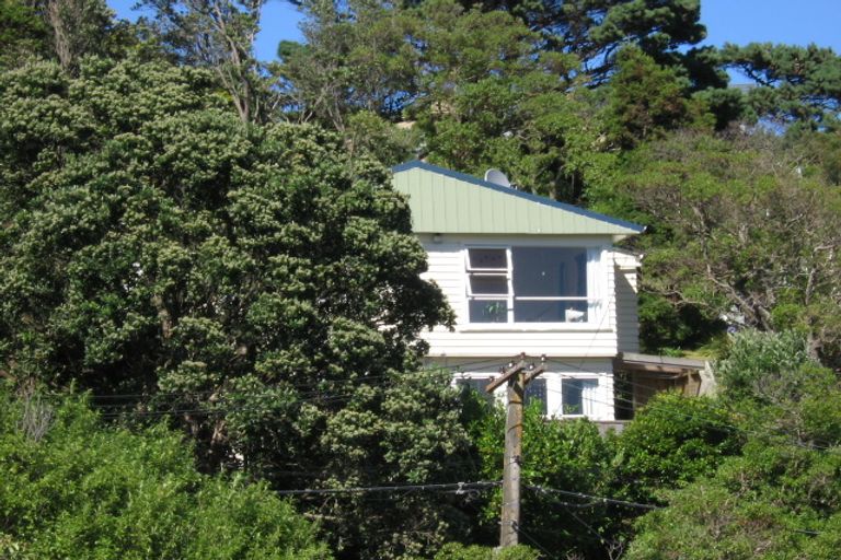 Photo of property in 53 Volga Street, Island Bay, Wellington, 6023