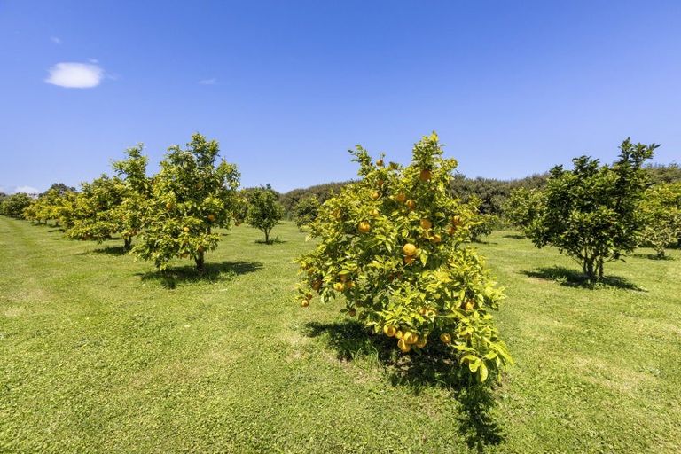 Photo of property in 804 Egmont Road, Hillsborough, New Plymouth, 4372