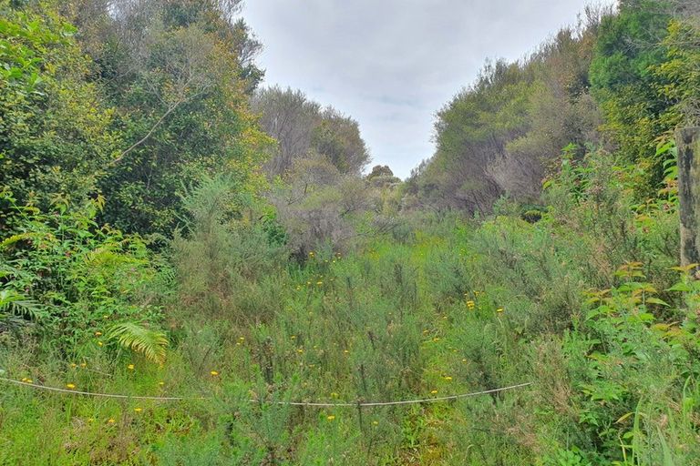 Photo of property in 18 Sanctuary Place, Kumara Junction, Hokitika, 7882