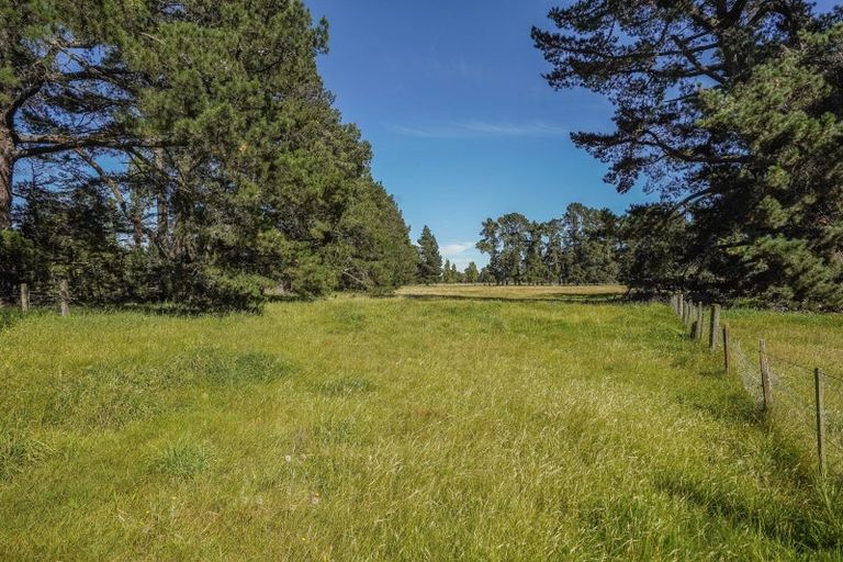 Photo of property in 373 Lehmans Road, Fernside, Rangiora, 7471