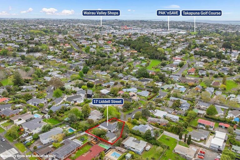 Photo of property in 17 Liddell Street, Hillcrest, Auckland, 0627