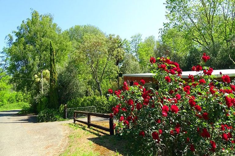 Photo of property in 46 Ruapapa Road, Frasertown, Wairoa, 4195