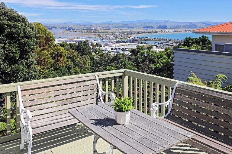 Photo of property in 10 Coleman Terrace, Hospital Hill, Napier, 4110