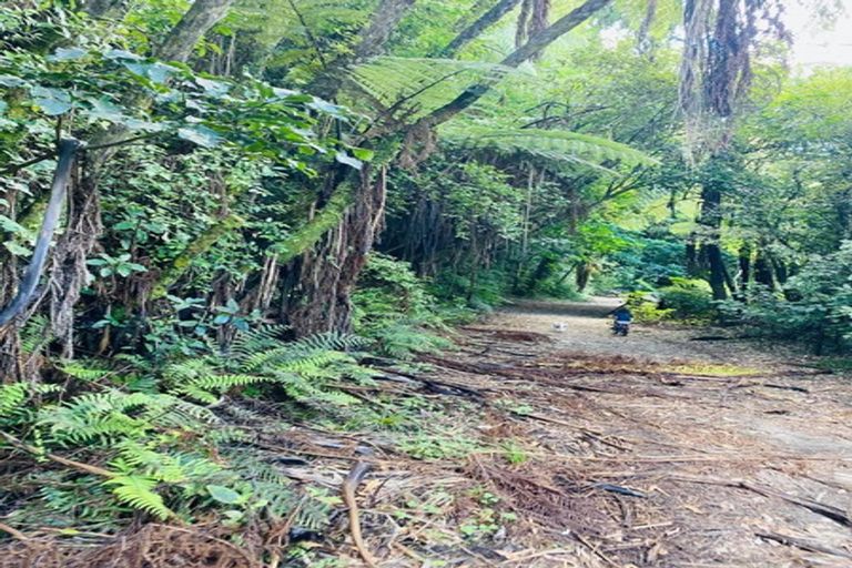 Photo of property in 185 Pongakawa Valley Road, Lake Rotoma, Rotorua, 3074