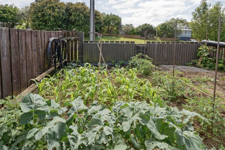 Photo of property in 8 Wrigley Street, Waihi, 3610