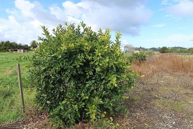 Photo of property in 72 Beach Road, Dargaville, 0310