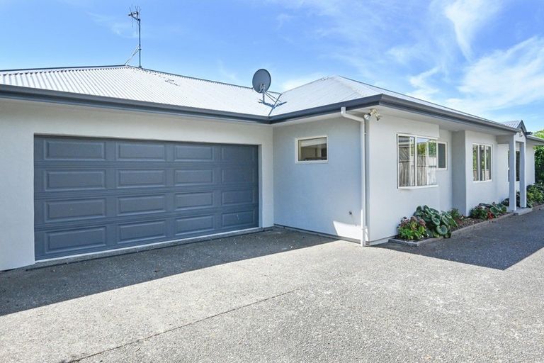 Photo of property in 19a Guthrie Road, Havelock North, 4130