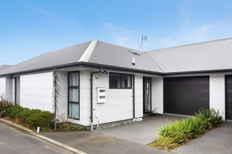 Photo of property in 29b Clarence Street South, Addington, Christchurch, 8024